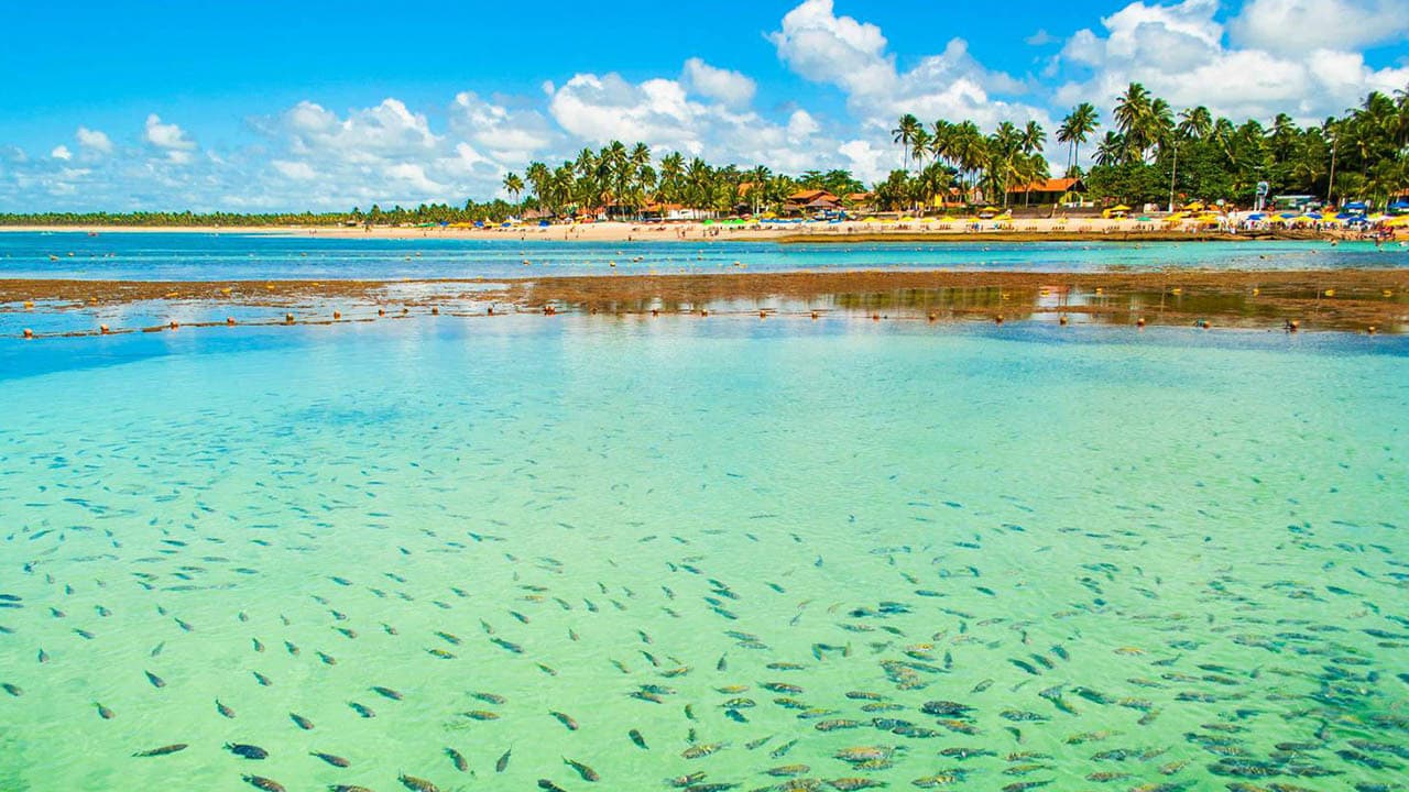 Lugar Porto de Galinhas