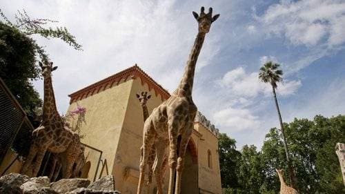 Lugar Jardim Zoológico de Lisboa