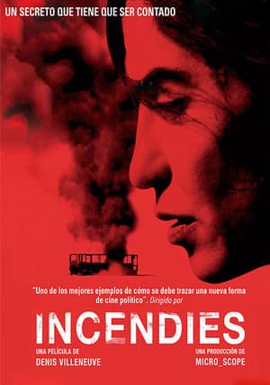 Movie Incendies