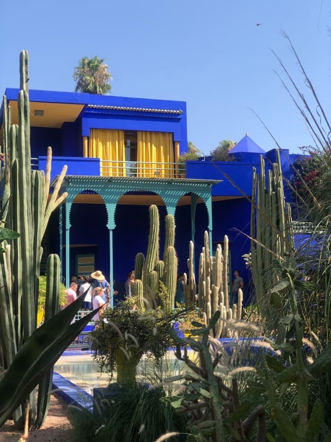 Lugar Jardín Majorelle