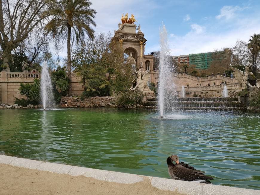 Place Parque de la Ciudadela