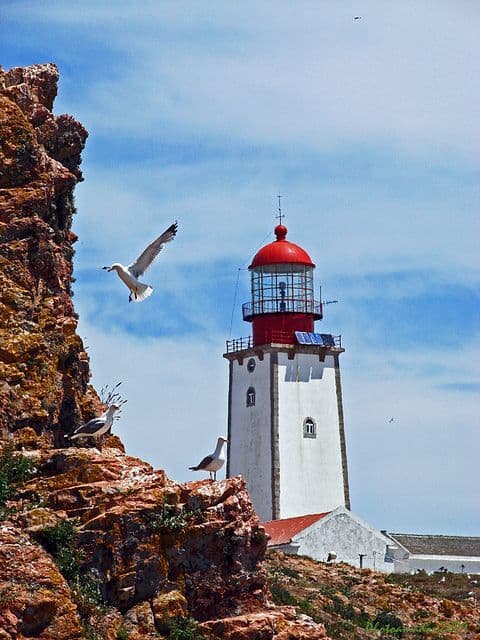 Lugar Faro de Berlenga