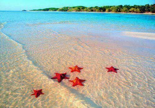 Lugar Ilha Paraíso, Bahamas