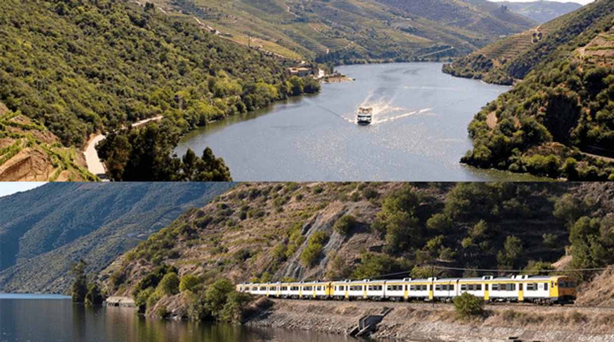 Moda Régua | Pocinho | Régua - Descida de Barco | Rota do Douro