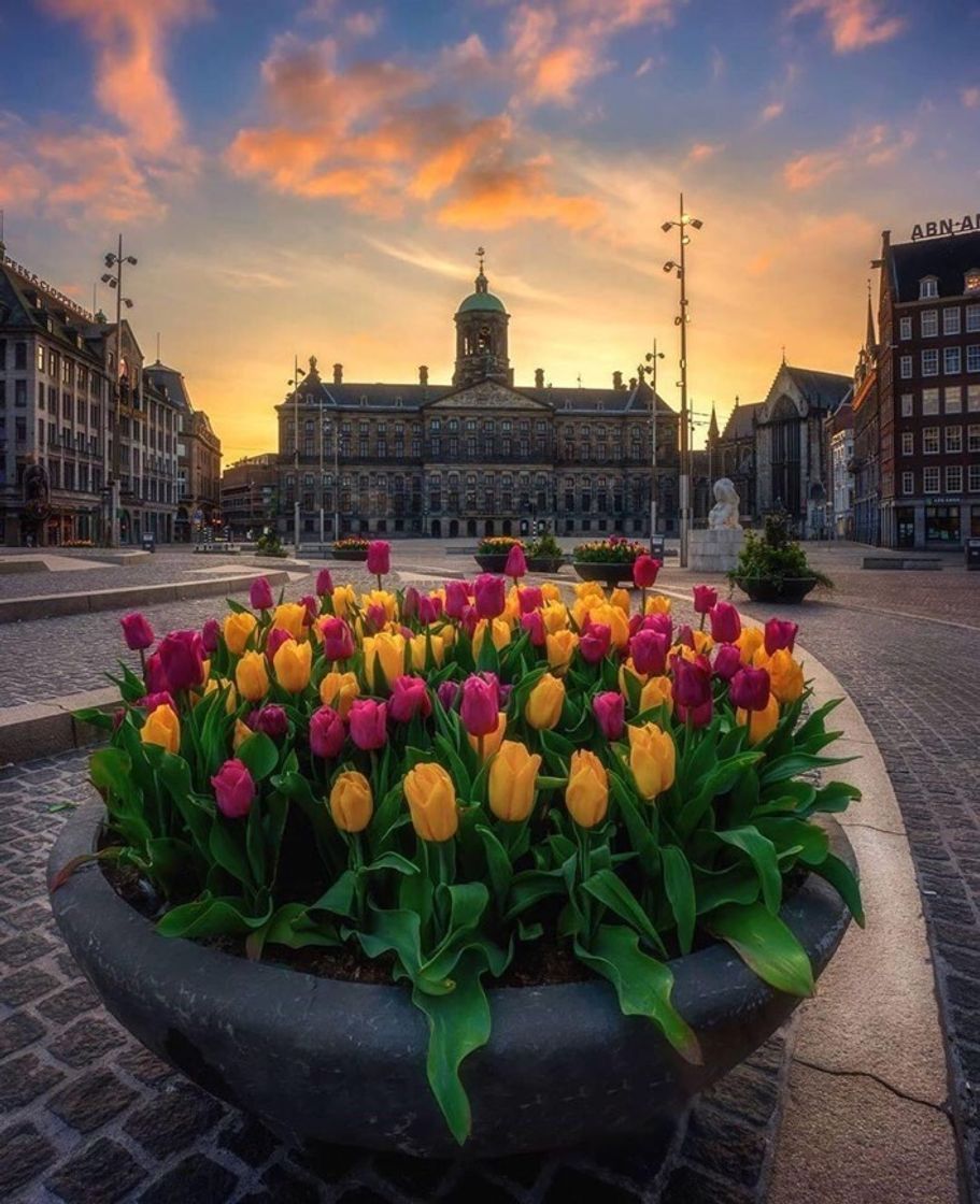 Place Holanda