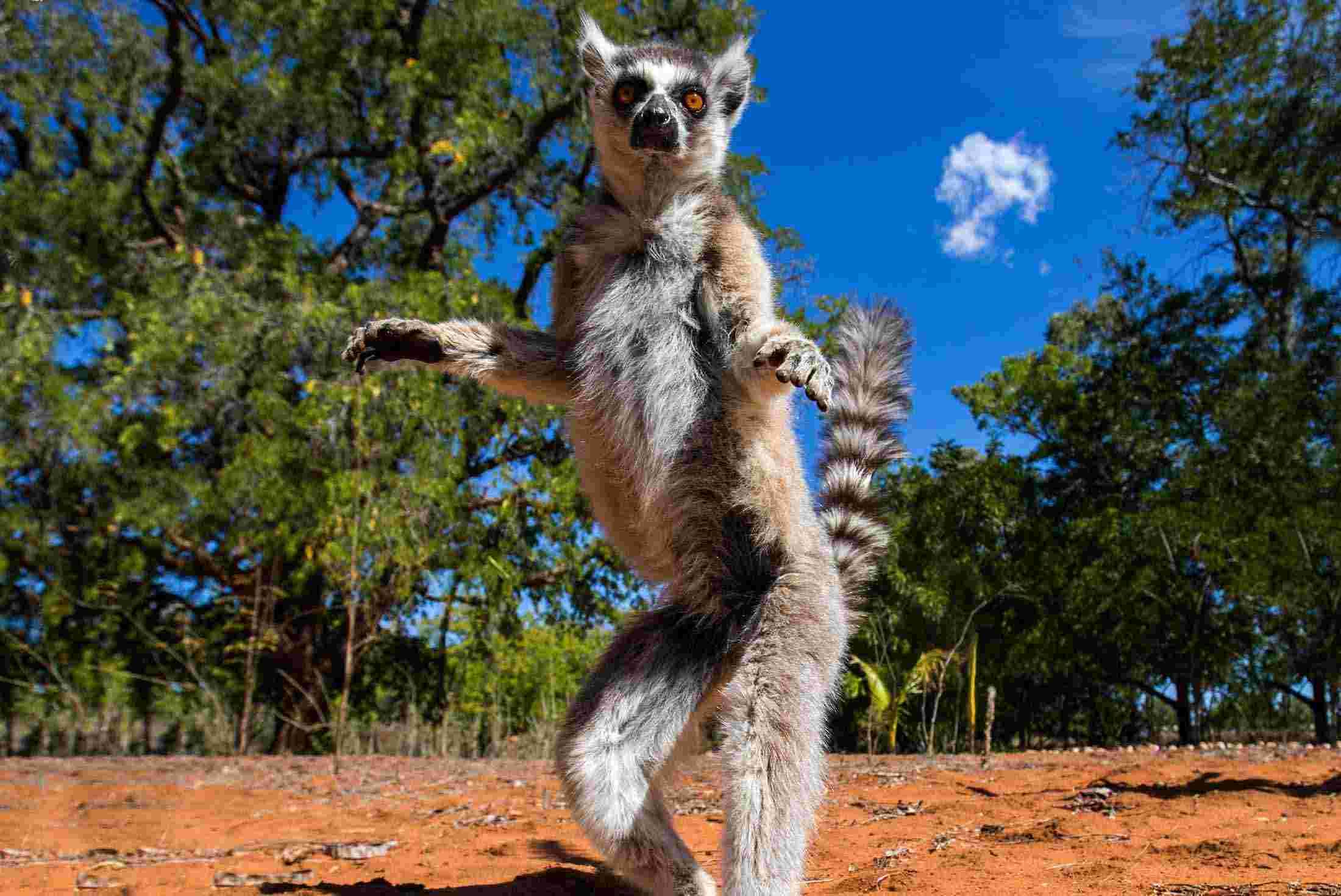 Place Madagascar