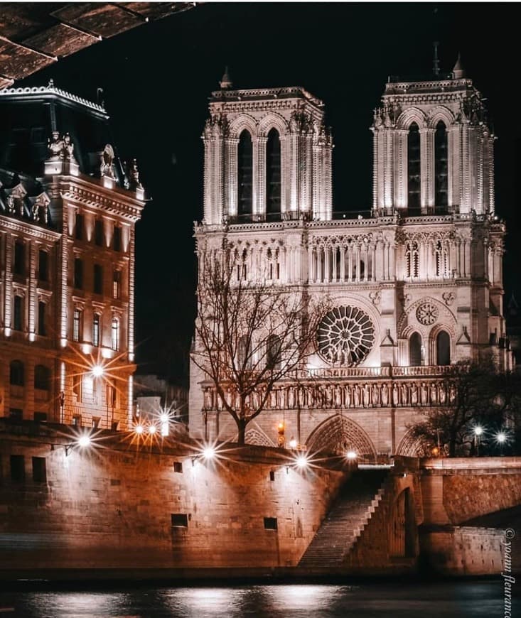 Place Catedral de Notre Dame