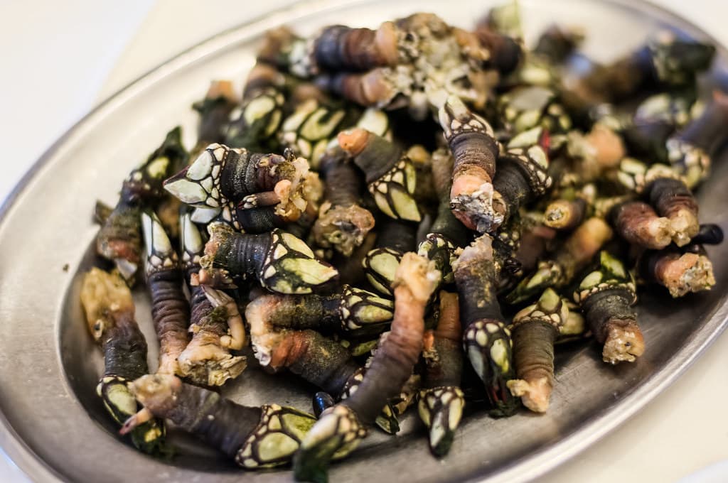 Producto Percebes