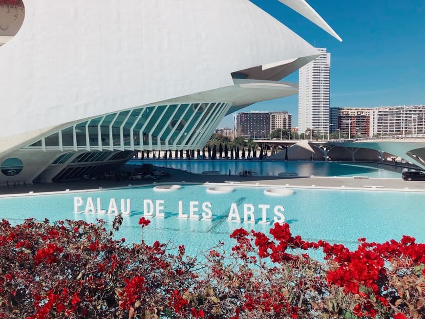 Place Palau de les Arts Reina Sofía (Opera Valencia)