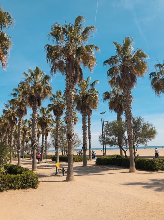 Place Playa de la Malvarrosa