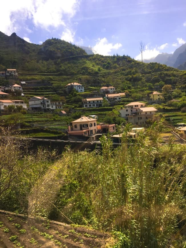 Place Ribeira Brava