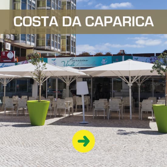 Restaurants Pizzaria Verde e Amarelo