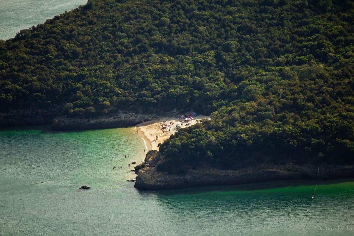 Place Praia dos Coelhos