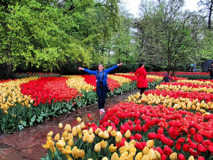 Lugar Keukenhof