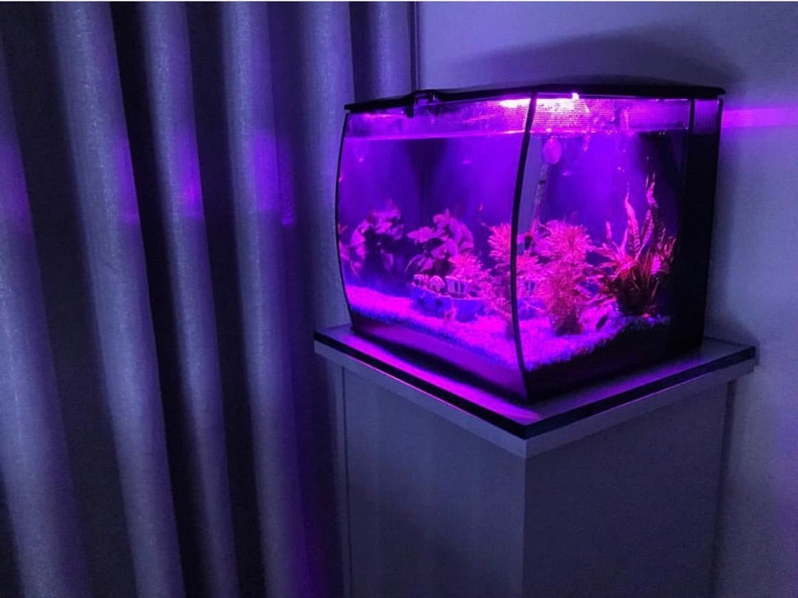 Moda Aquário com LED Fluval Flex