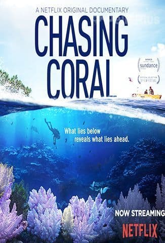 Película Chasing Coral