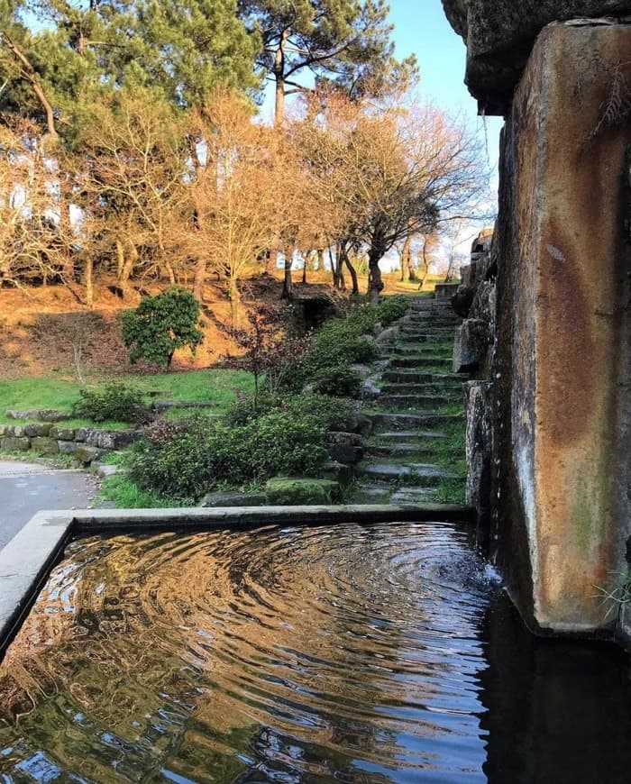 Lugar Parque Oriental da Cidade do Porto