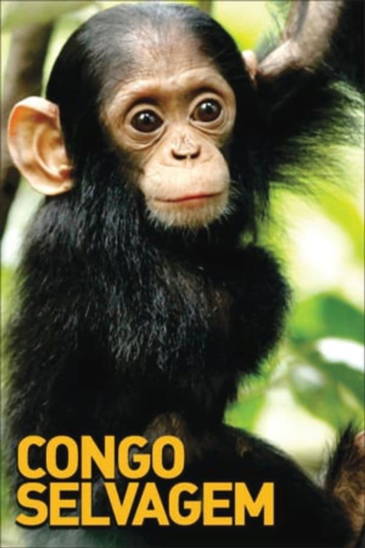 Serie Congo Selvagem