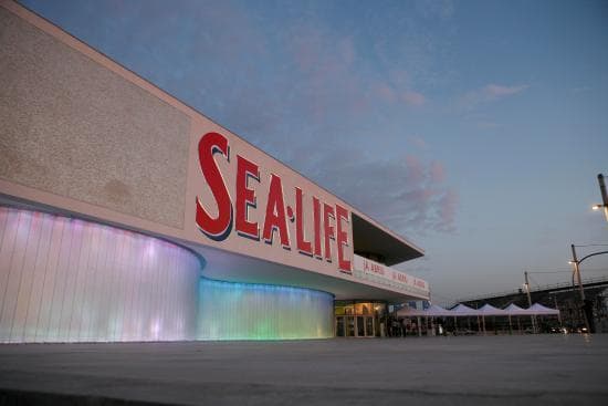 Place SEA LIFE Porto