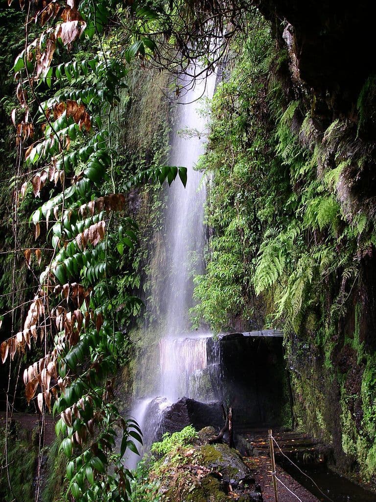 Place R. Levada da Ribeira da janela