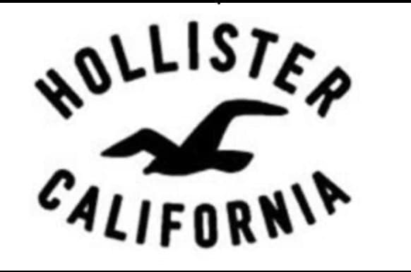 App Holister