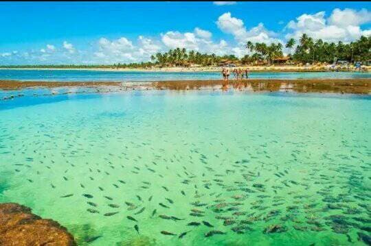 Lugar Porto de Galinhas