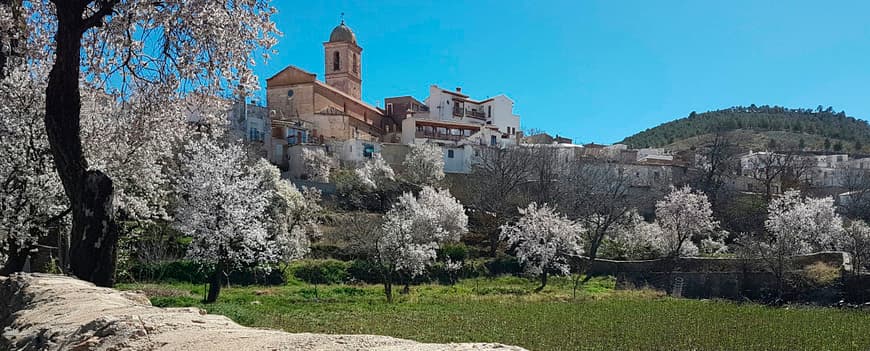 Lugar Ferreira Granada