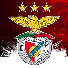 Moda Benfica fc