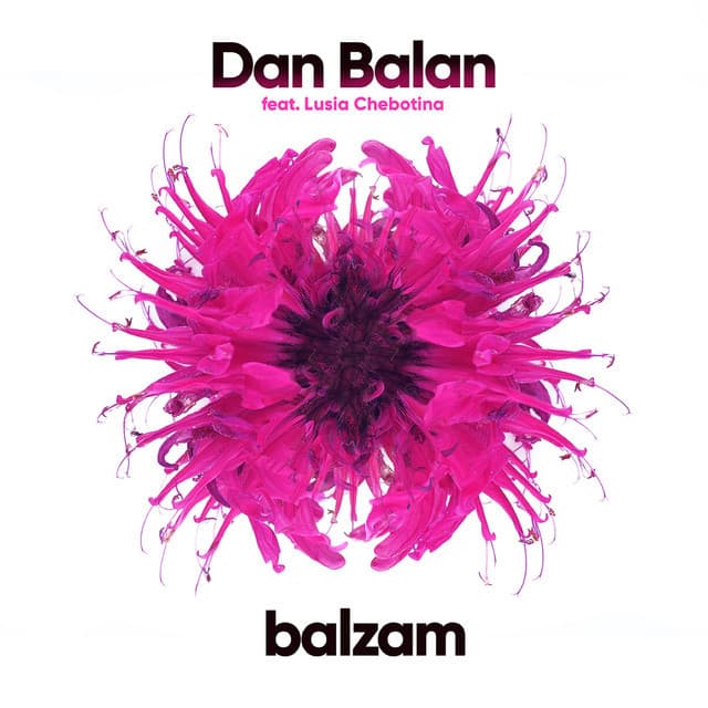 Music Balzam