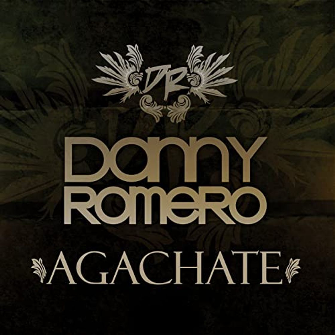 Canción Agáchate (Danny Romero)