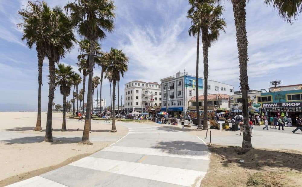 Place Venice Beach