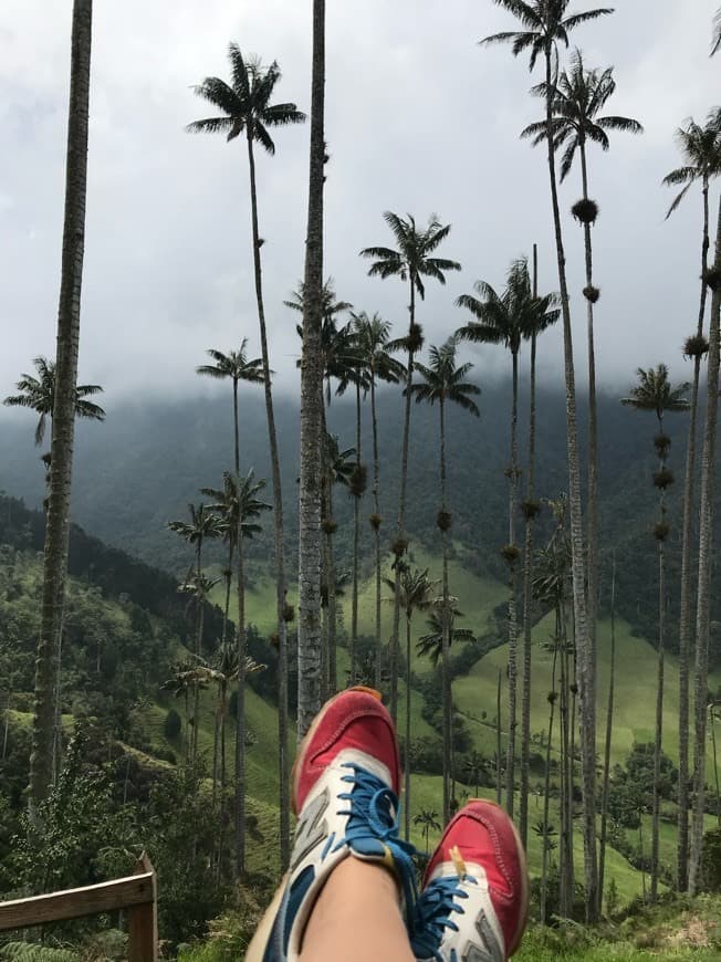 Restaurantes Valle Del Cocora