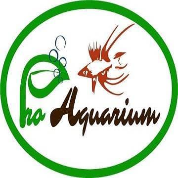 Fashion Loja de aquariofilia