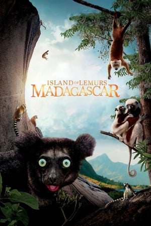 Movie Island of Lemurs: Madagascar