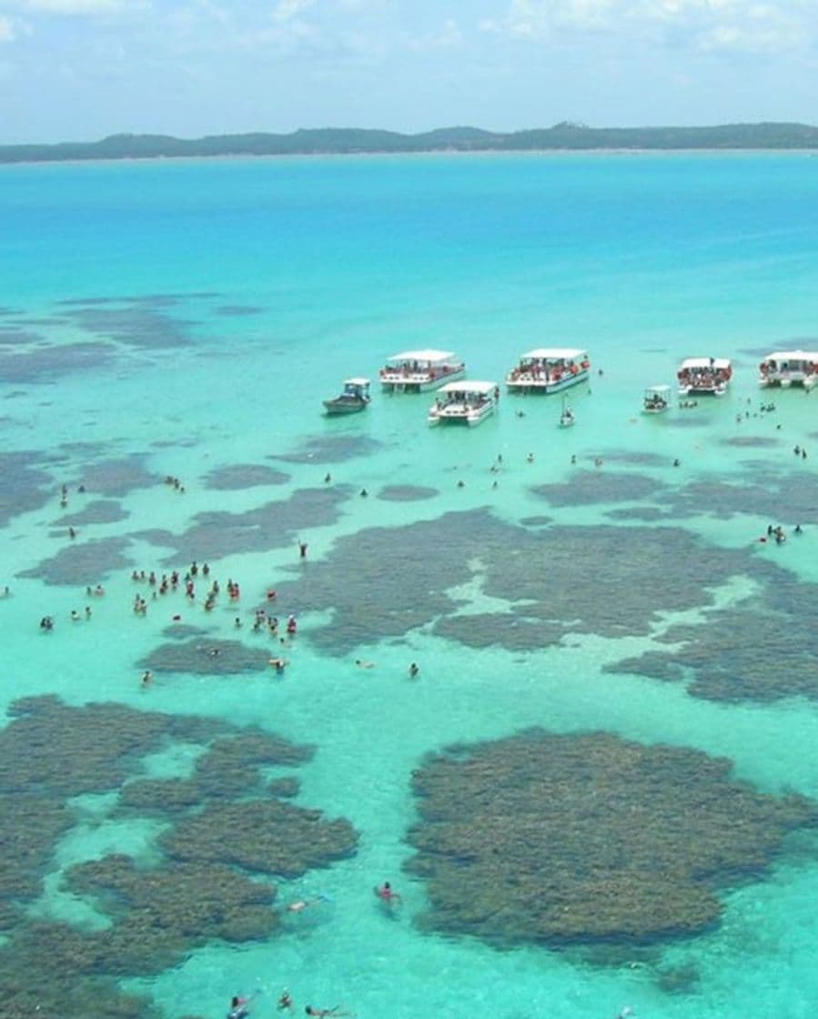 Lugar Porto de Galinhas