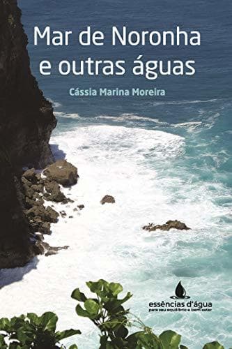 Book Mar de Noronha e outras águas