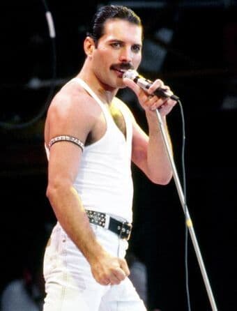 Moda Freddie Mercury - Wikipedia