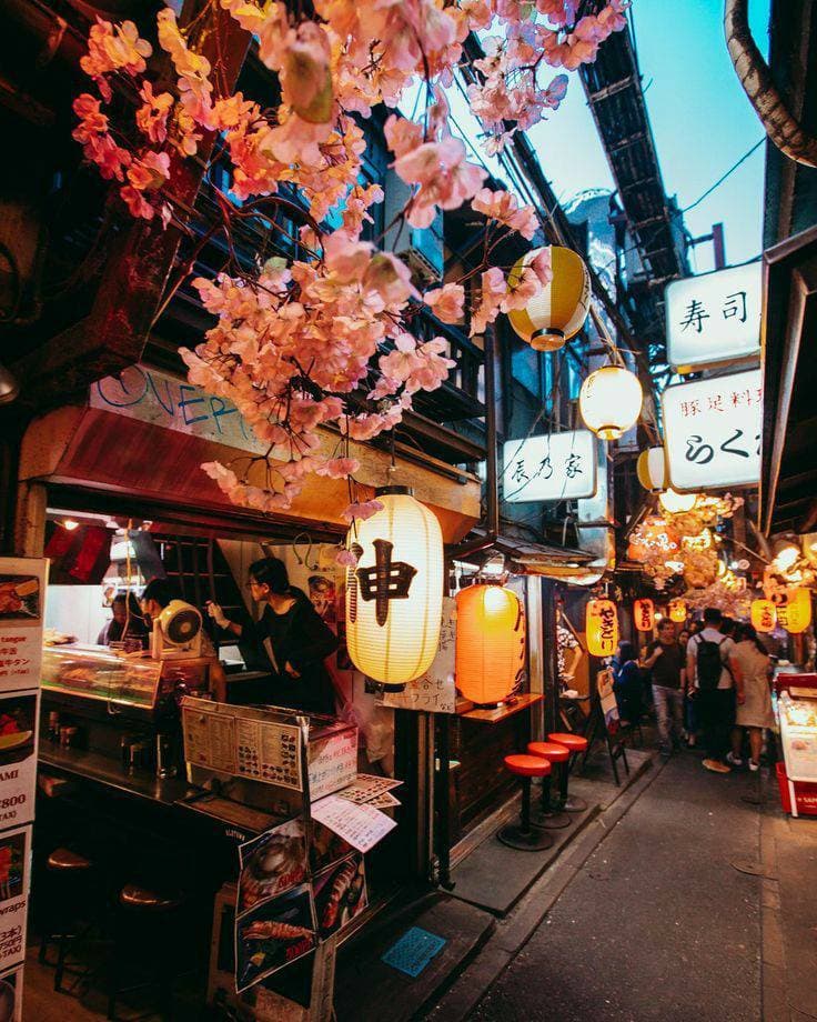 Place Omoide Yokocho, Tóquio, Japão