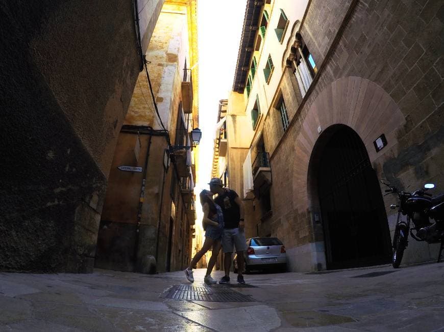 Lugar Catedral-Basílica de Santa María de Mallorca