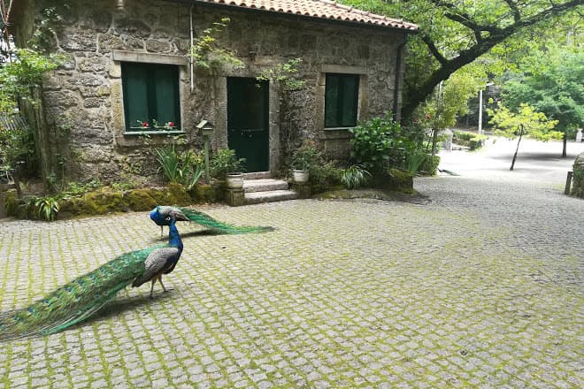 Place Fontelo Park