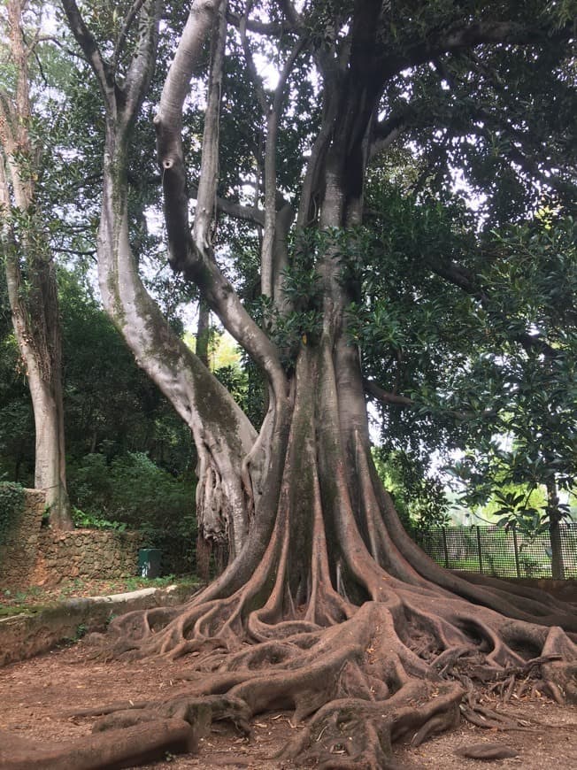 Place Quinta das Lágrimas Academia de Golfe