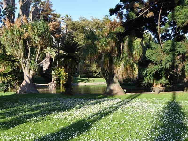 Lugar Tropical Botanical Garden