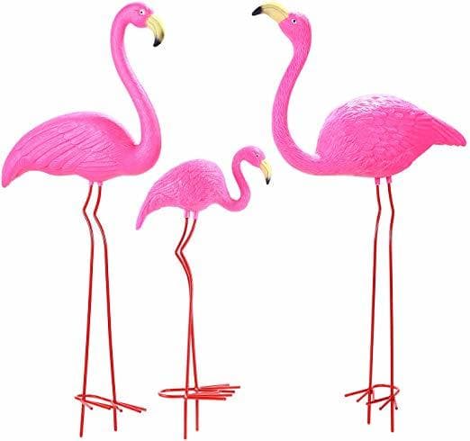 Moda Flamingos