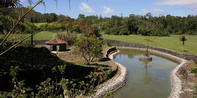 Place RESERVA FLORESTAL DE RECREIO DO PINHAL DA PAZ