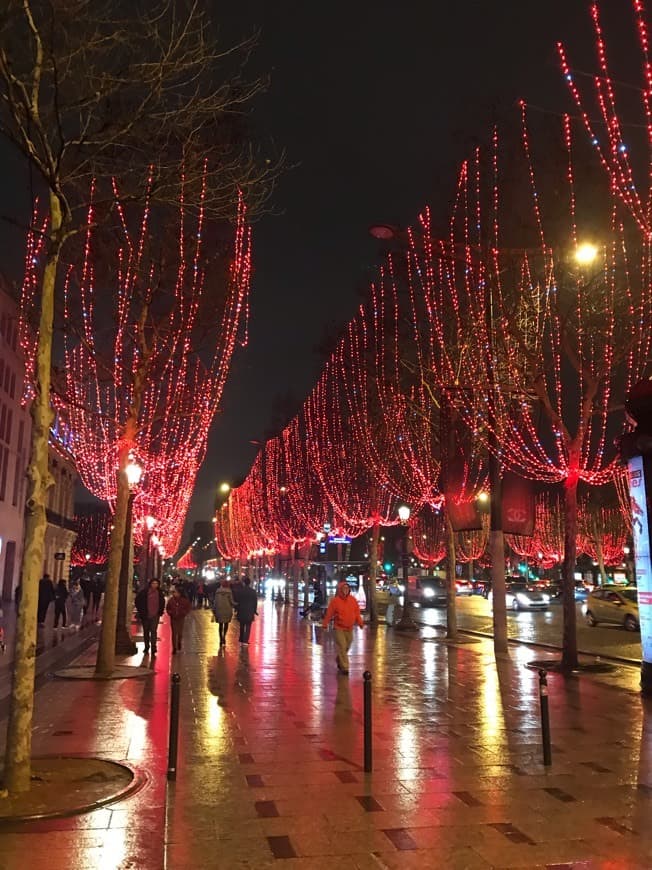 Lugar Champs Elysees