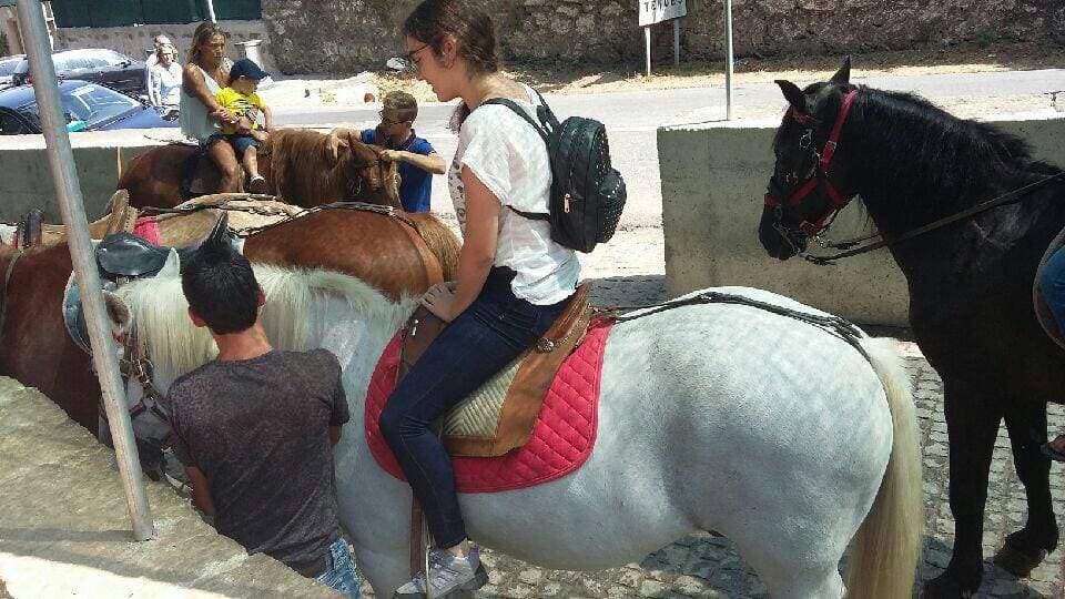 Place Bom Jesus do Monte