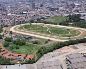 Place Parque Vila Guilherme - Trote