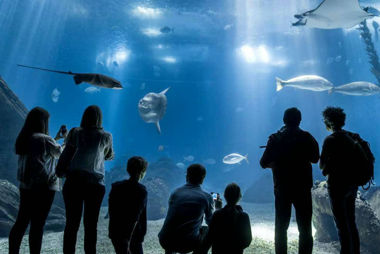 Place Oceanário de Lisboa