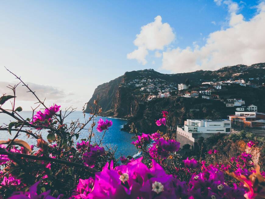 Lugar Câmara De Lobos