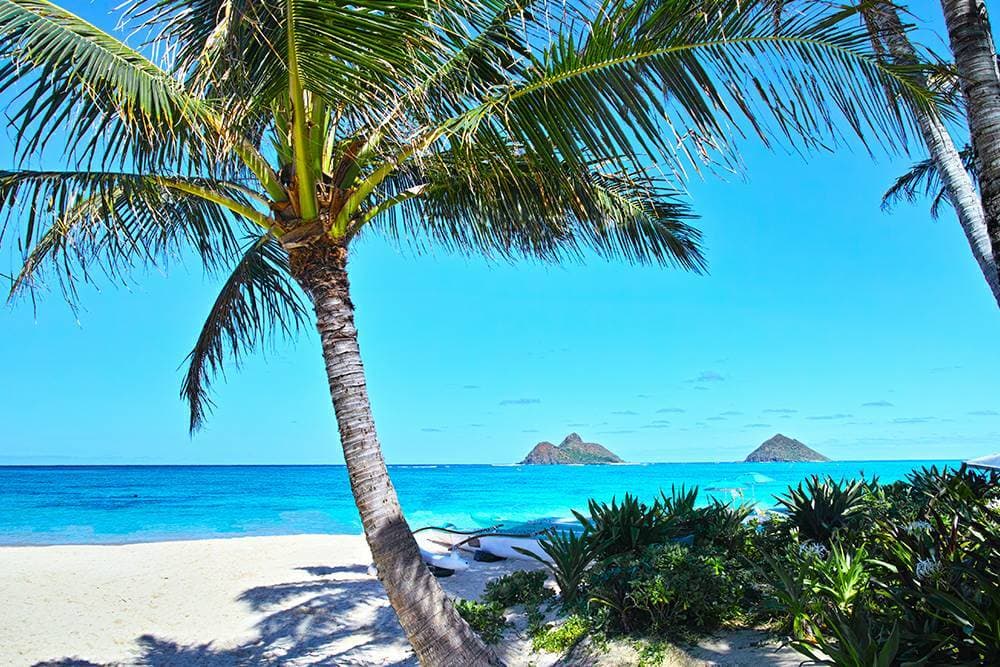 Lugar Lanikai Beach Spa